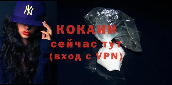 крисы Абдулино