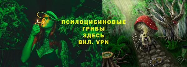 крисы Абдулино