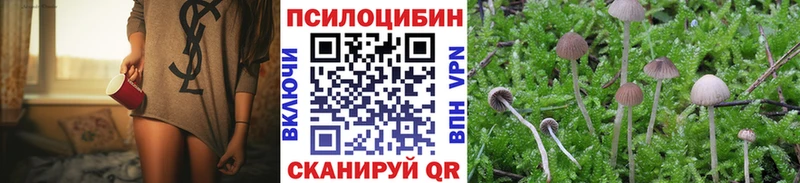 как найти закладки  Кашира  Псилоцибиновые грибы Cubensis 